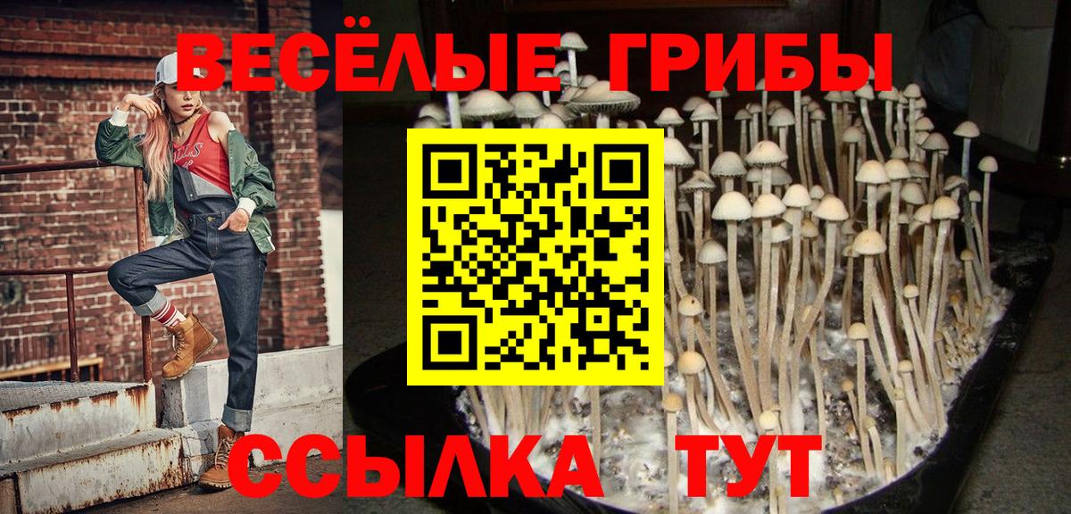 Псилоцибиновые грибы прущие грибы Баксан